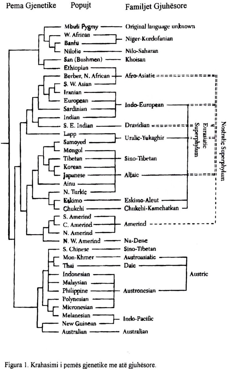 Gjenet, popujt dhe gjuhët fig 1