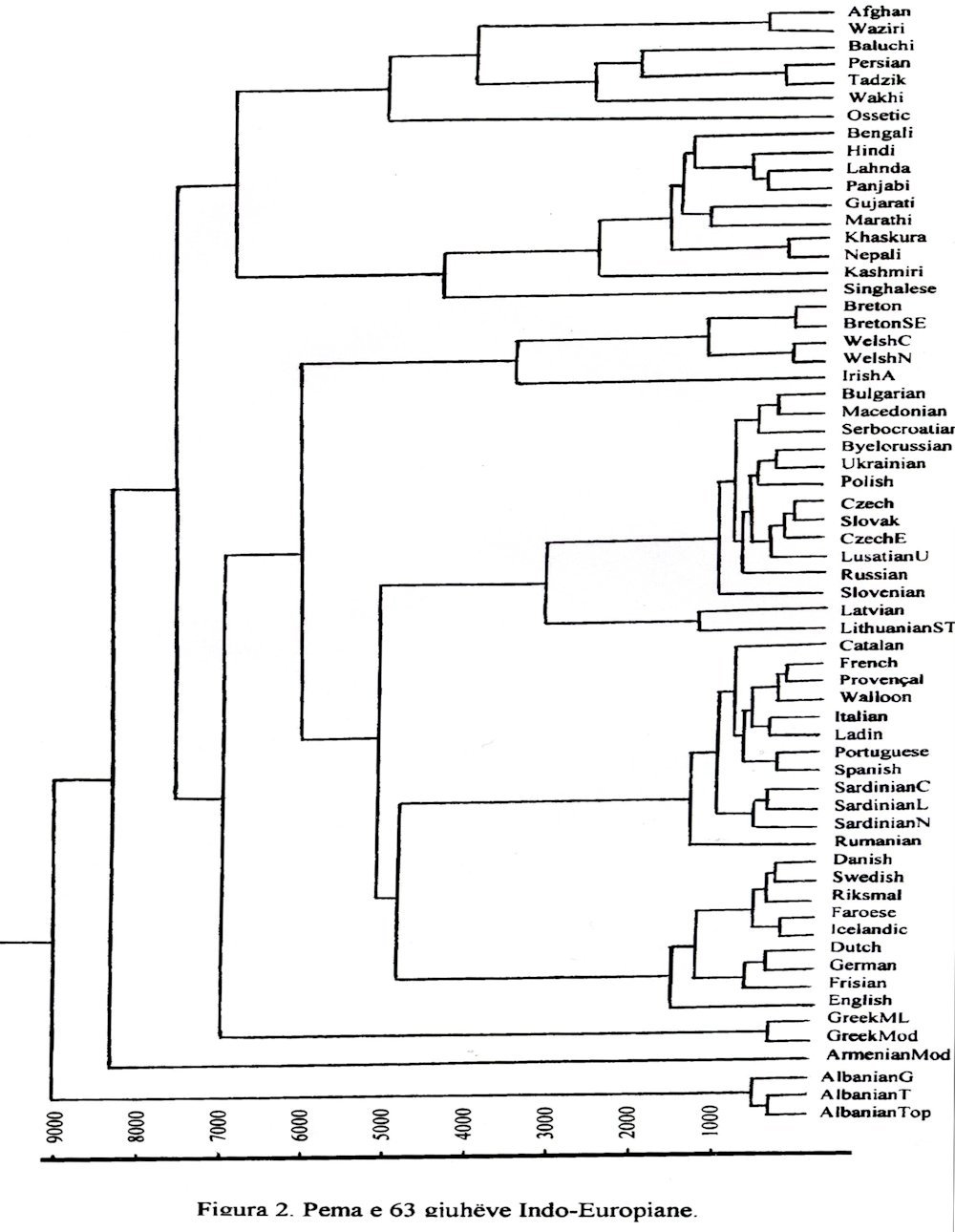 Gjenet, popujt dhe gjuhët fig 2